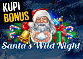 Santa's Wild Night