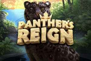 Panther's Reign