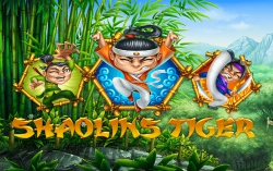 Shaolins Tiger