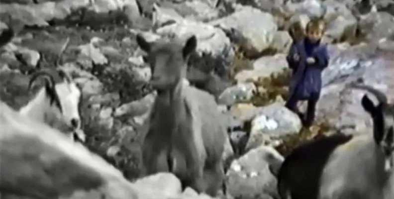 detinjstvo-luke-modrica