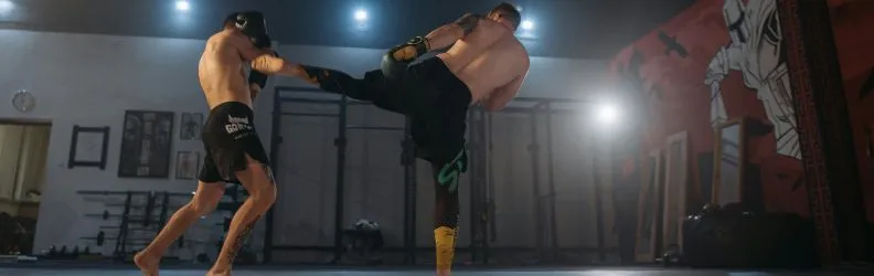 UFC borci - TOP 5 najboljih UFC boraca svih vremena